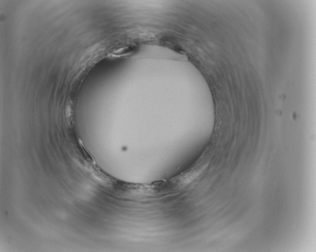 X0000088210288200706051305