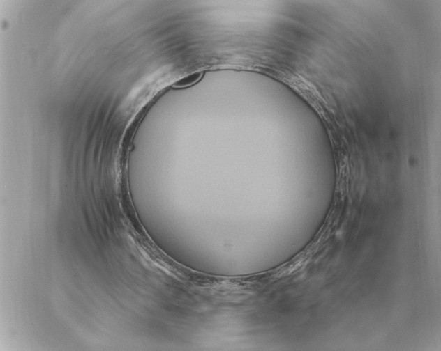 X0000088210290200706051304