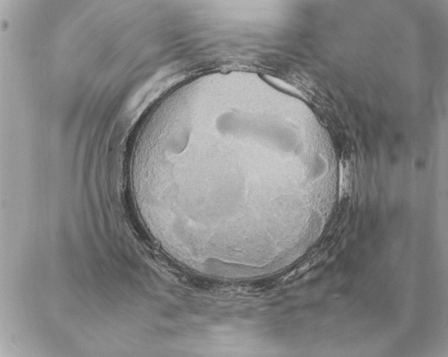 X0000088210291200706051304