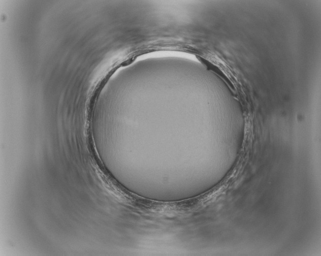 X0000088210293200706051304