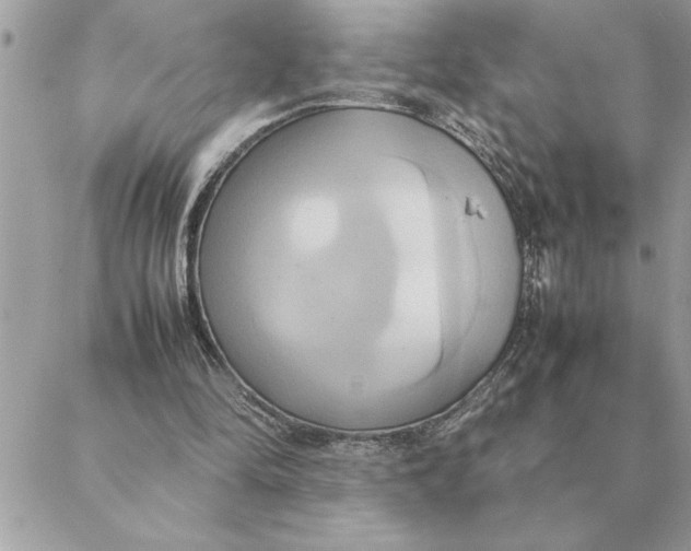 X0000088210294200706051304