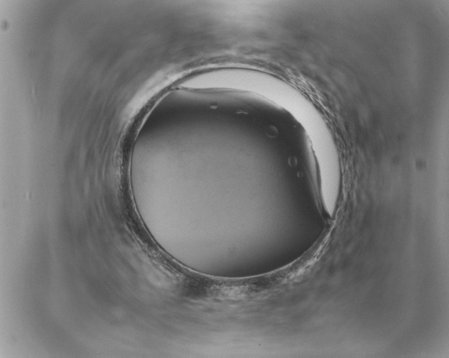 X0000088210295200706051304