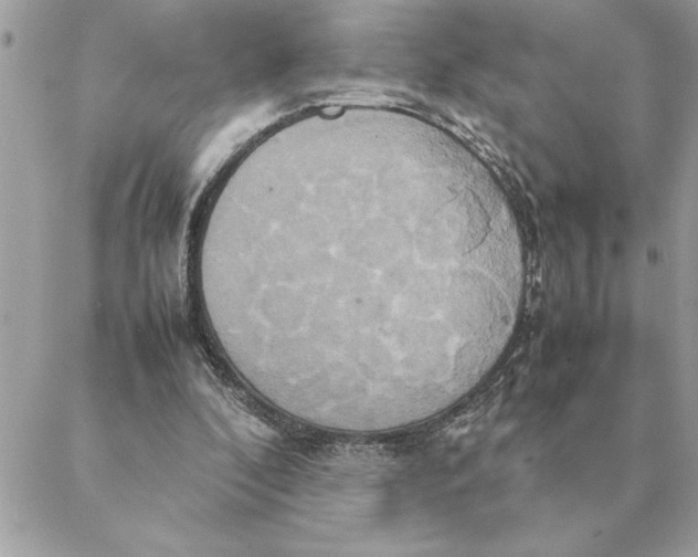 X0000088210296200706051304