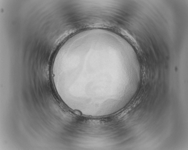 X0000088210298200706051304