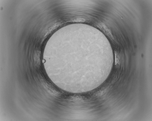 X0000088210300200706051304