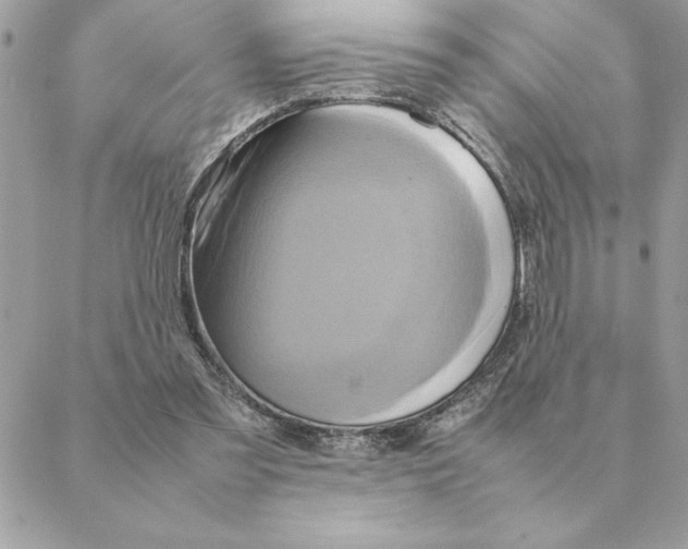 X0000088210301200706051304