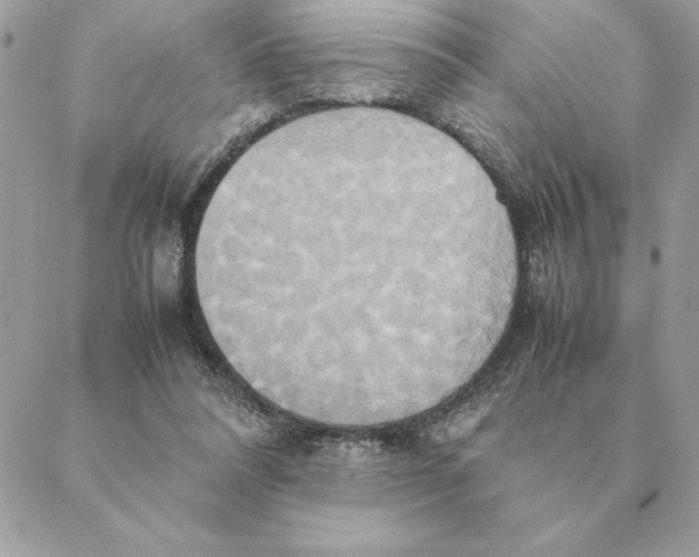 X0000088210304200706051303