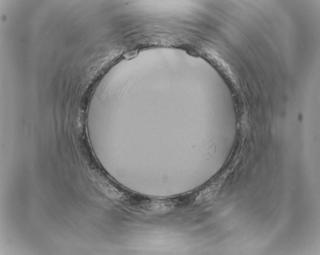 X0000088210305200706051303