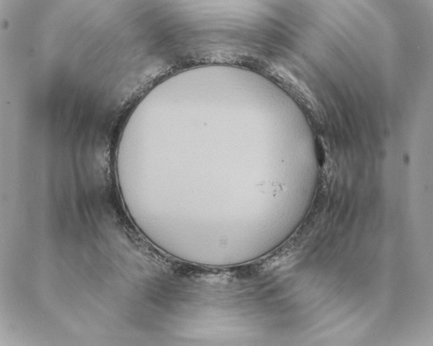 X0000088210306200706051303