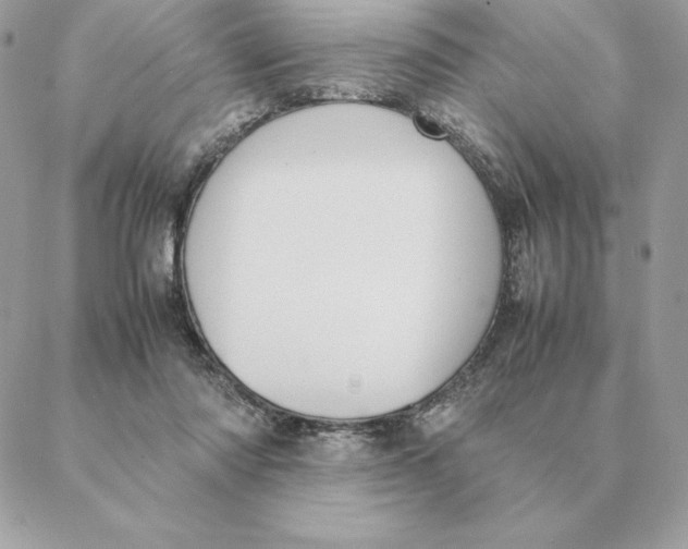 X0000088210310200706051303