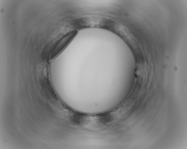 X0000088210313200706051303