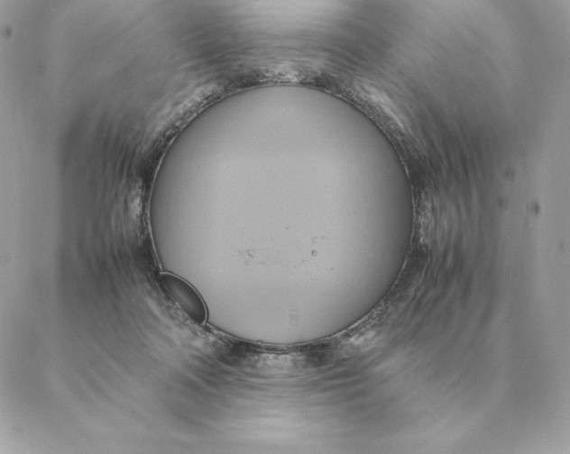 X0000088210314200706051303