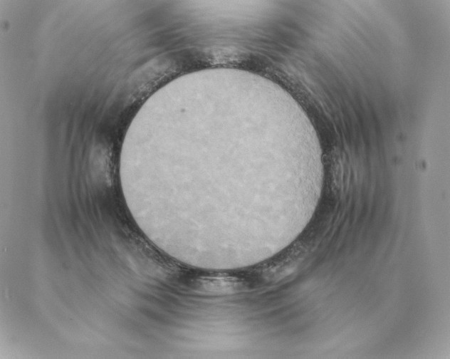 X0000088210316200706051303