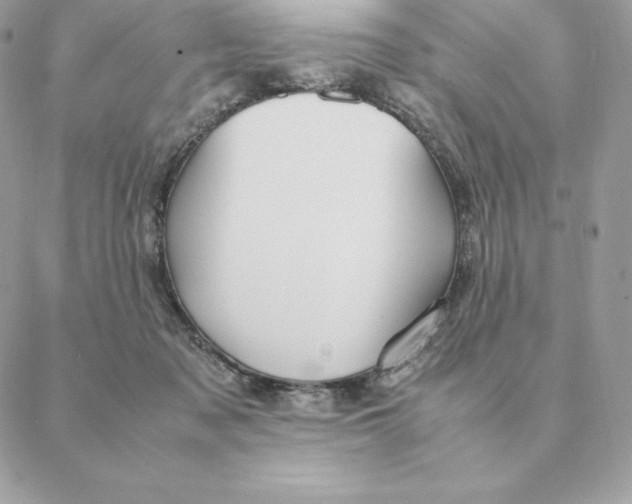 X0000088210317200706051303