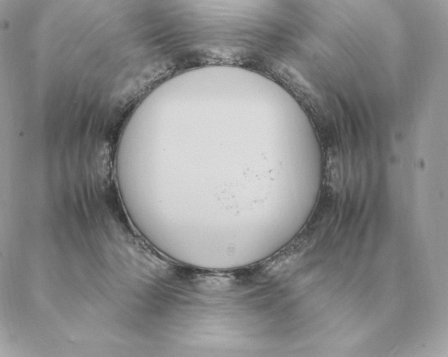 X0000088210318200706051303