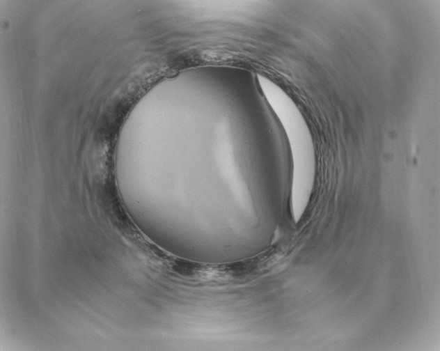 X0000088210319200706051303