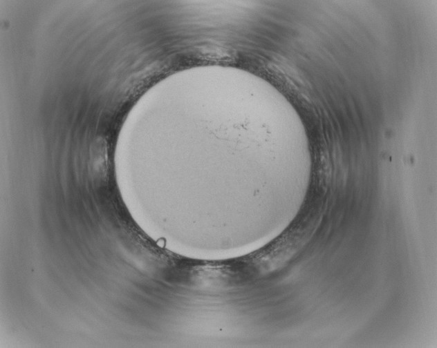 X0000088210320200706051303