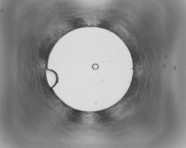 X0000088210321200706051303