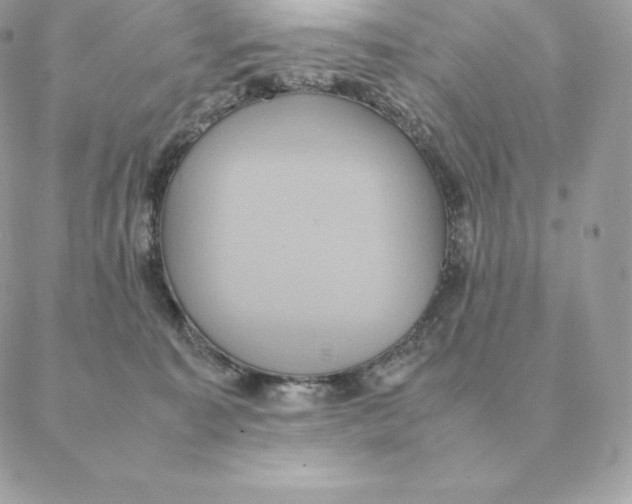 X0000088210323200706051303