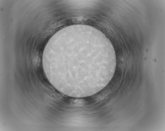 X0000088210324200706051303