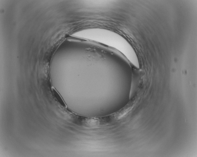 X0000088210325200706051303