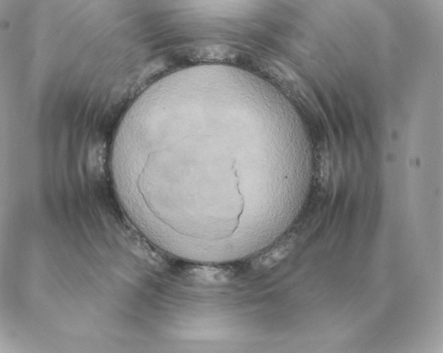 X0000088210326200706051303