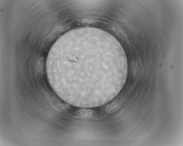 X0000088210328200706051303