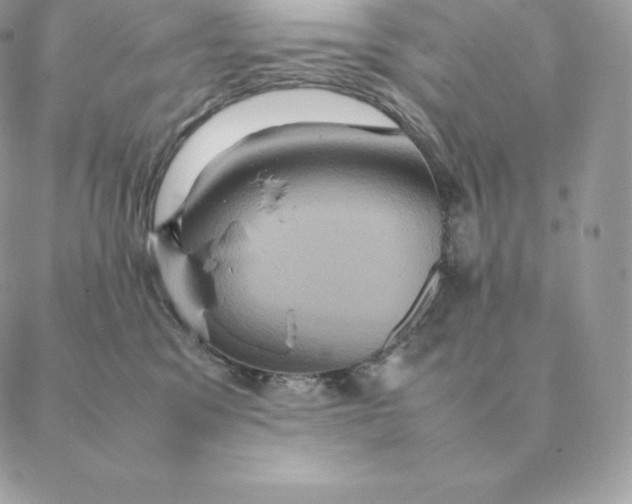 X0000088210329200706051303