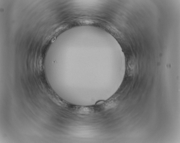 X0000088210330200706051303