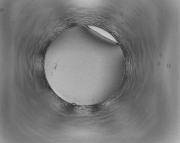 X0000088210331200706051303