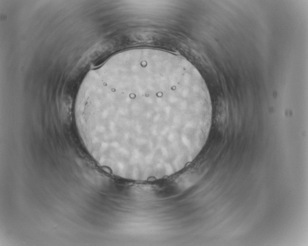 X0000088210332200706051303