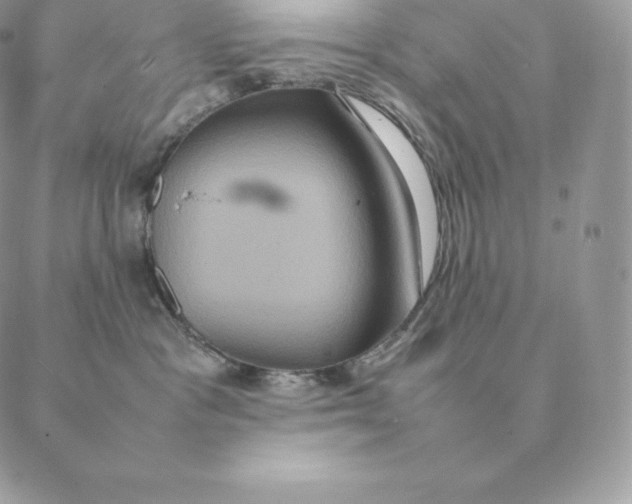 X0000088210333200706051303