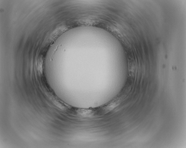 X0000088210334200706051303