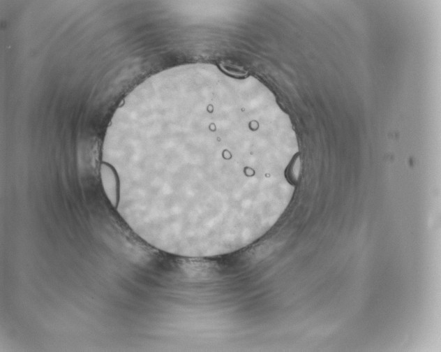 X0000088210336200706051303