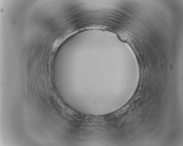 X0000088210337200706051302