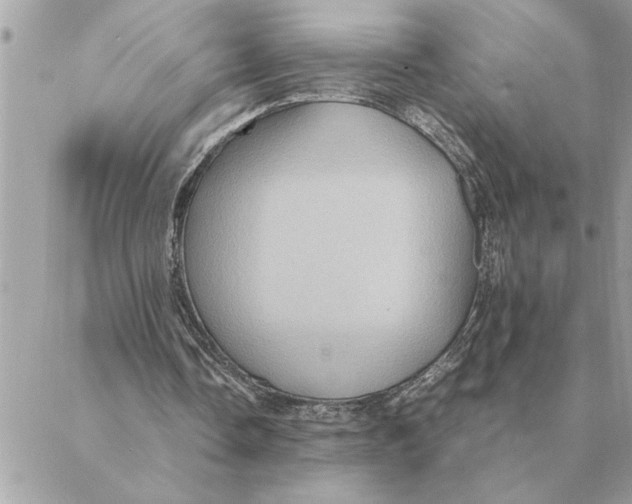 X0000088210338200706051302