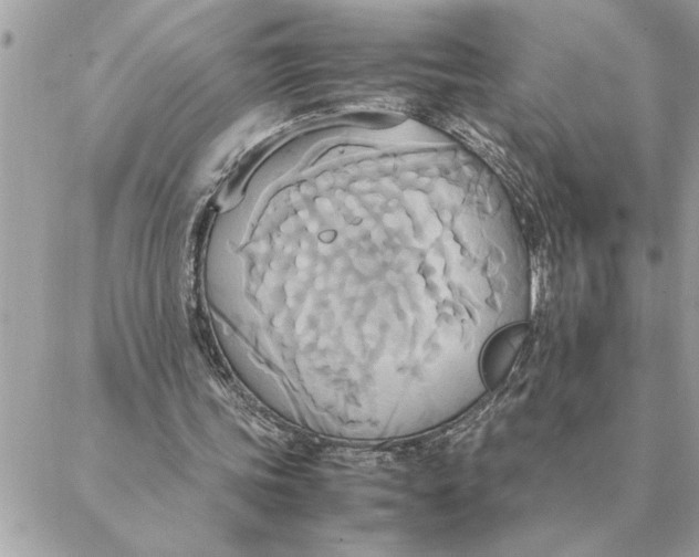 X0000088210339200706051302