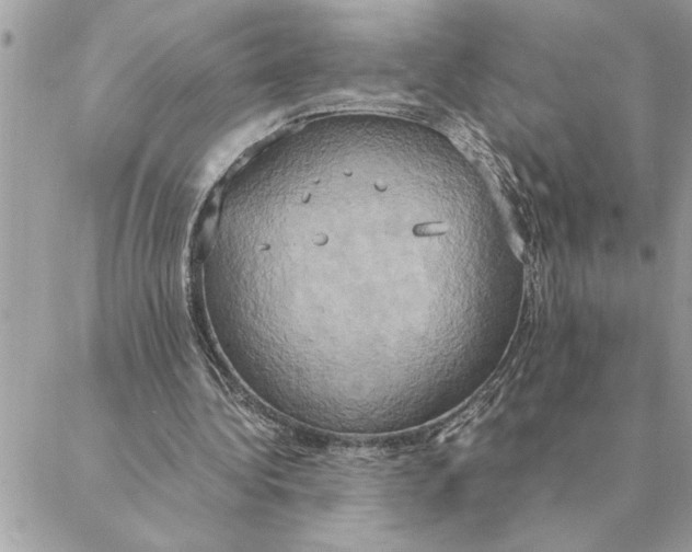 X0000088210340200706051302