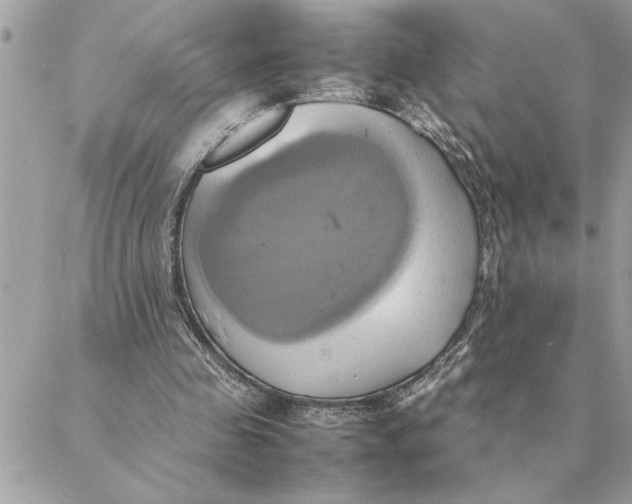 X0000088210341200706051302