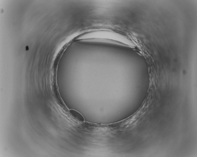 X0000088210342200706051302