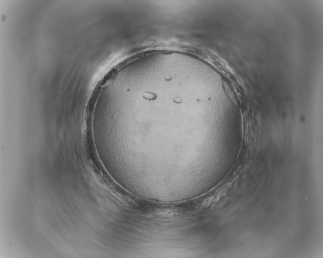 X0000088210344200706051302