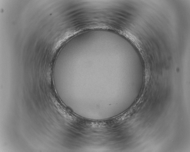 X0000088210345200706051302