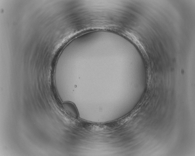 X0000088210346200706051302