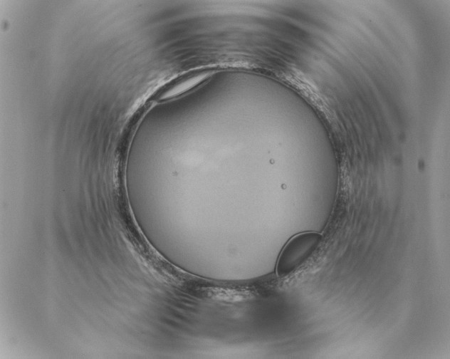 X0000088210347200706051302