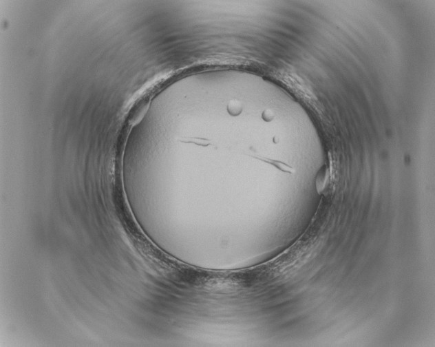 X0000088210348200706051302