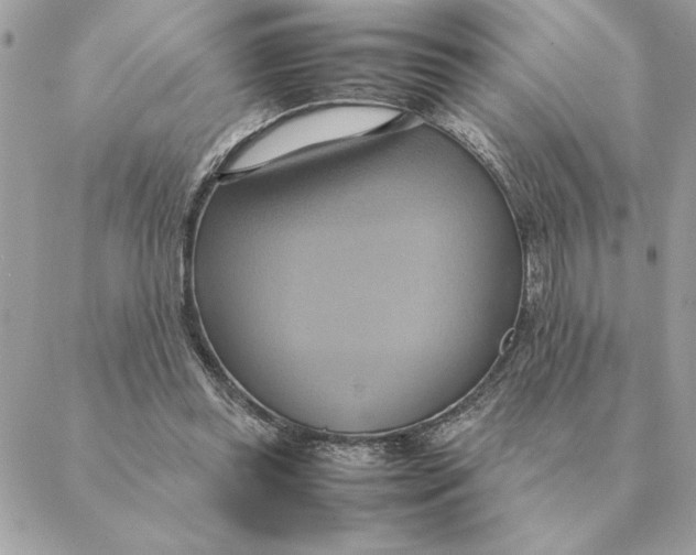 X0000088210349200706051302