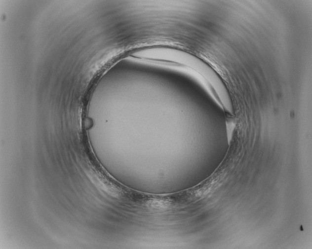 X0000088210350200706051302