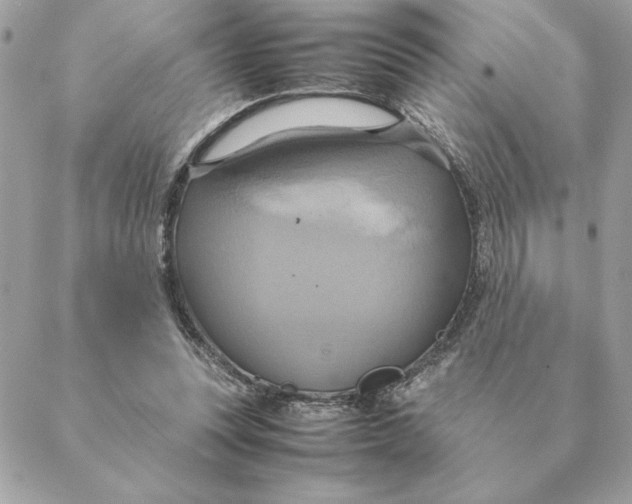 X0000088210351200706051302