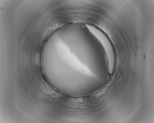 X0000088210353200706051302