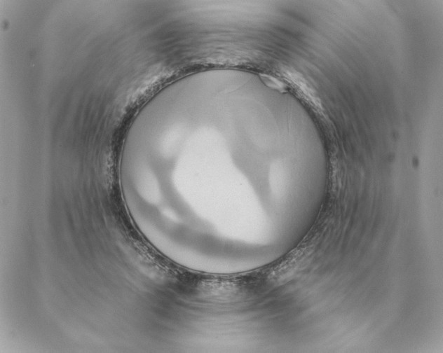 X0000088210354200706051302